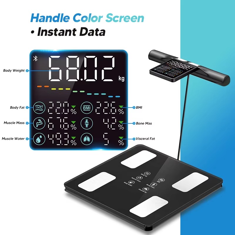 Neue intelligente Körperfettwa – Home Gym Body Solid Bewertung und Preis